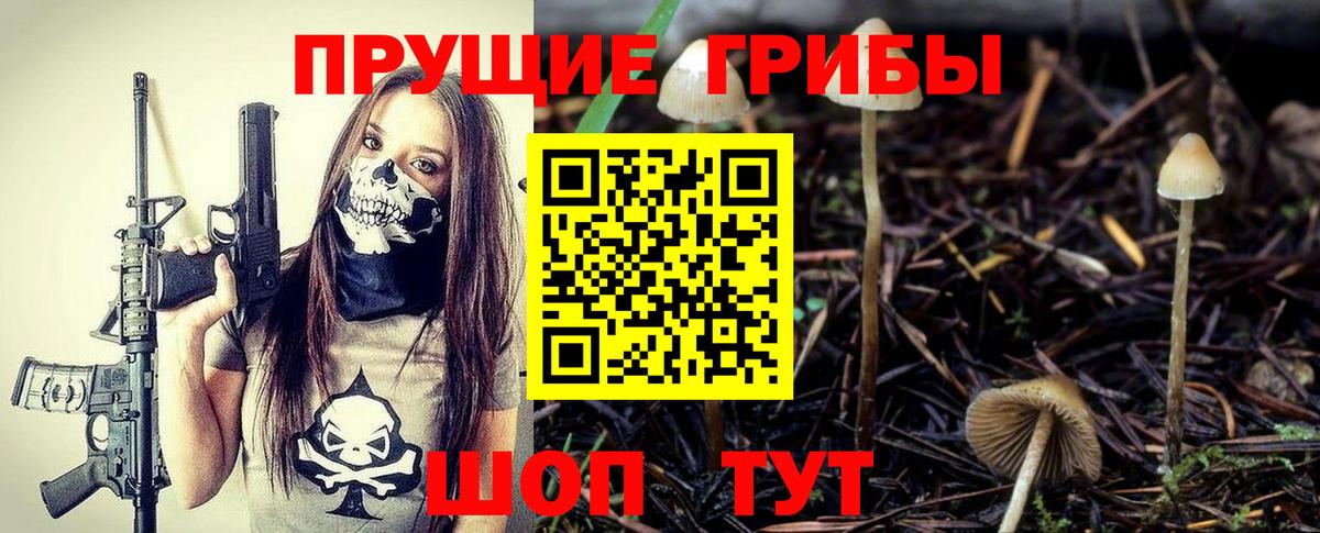 Изобильный  Псилоцибиновые грибы Psilocybine cubensis  Вход с VPN  купить наркоту  Псилоцибиновые грибы MAGIC MUSHROOMS 