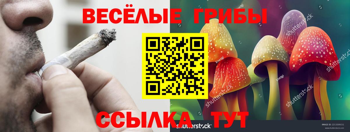 Галлюциногенные грибы Magic Shrooms Изобильный